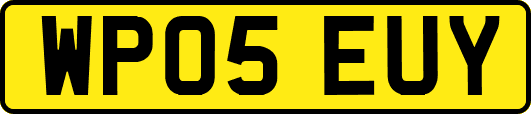 WP05EUY