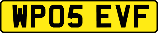 WP05EVF
