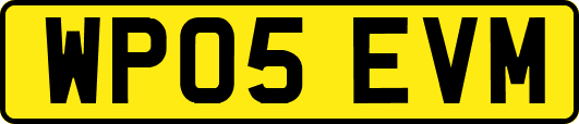 WP05EVM
