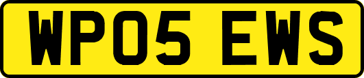 WP05EWS