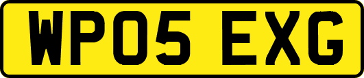 WP05EXG