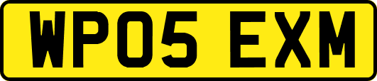 WP05EXM