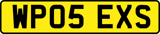 WP05EXS