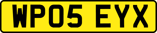 WP05EYX