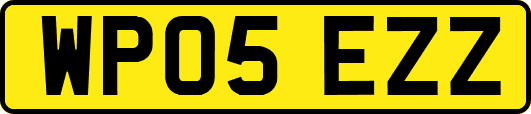 WP05EZZ