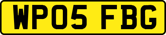 WP05FBG