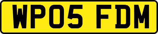 WP05FDM