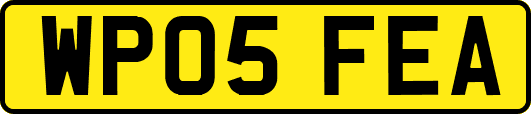 WP05FEA