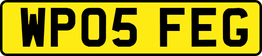 WP05FEG