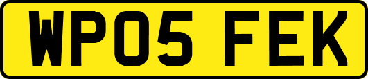 WP05FEK