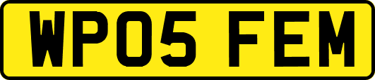 WP05FEM