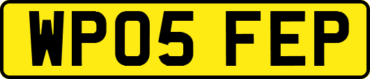 WP05FEP