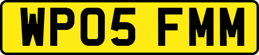 WP05FMM