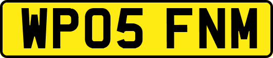WP05FNM