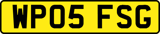 WP05FSG