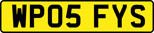 WP05FYS