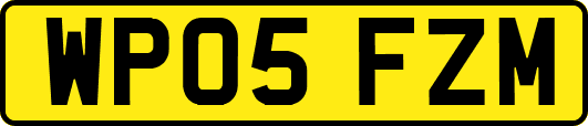 WP05FZM