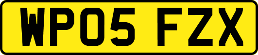 WP05FZX