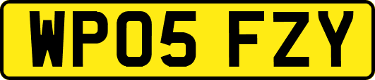 WP05FZY