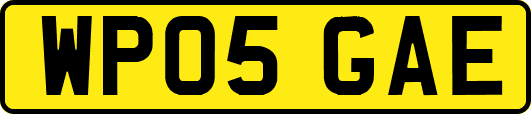 WP05GAE