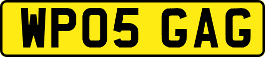 WP05GAG