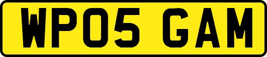 WP05GAM