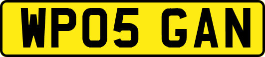 WP05GAN