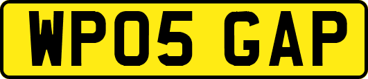 WP05GAP