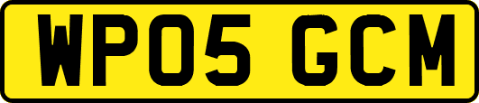 WP05GCM
