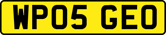 WP05GEO