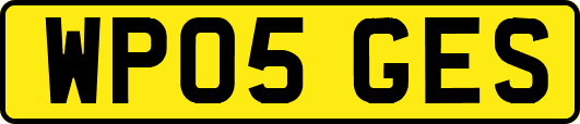 WP05GES