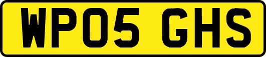 WP05GHS