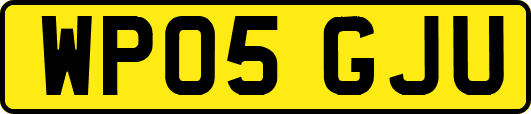 WP05GJU