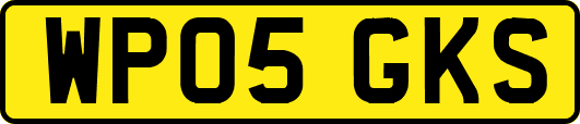 WP05GKS