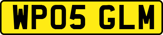 WP05GLM