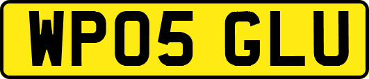 WP05GLU