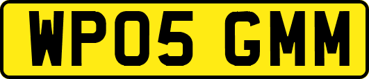 WP05GMM