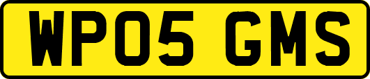 WP05GMS