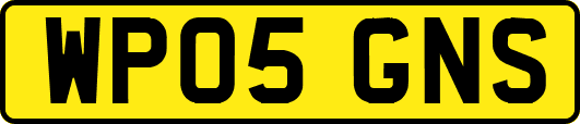WP05GNS
