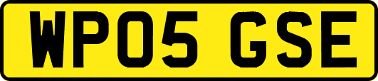 WP05GSE