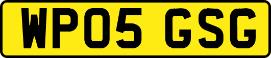 WP05GSG