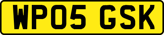 WP05GSK