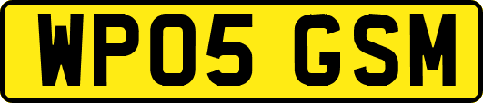 WP05GSM