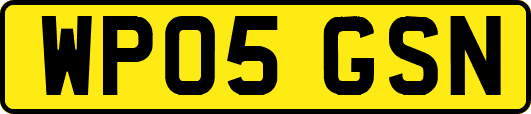 WP05GSN