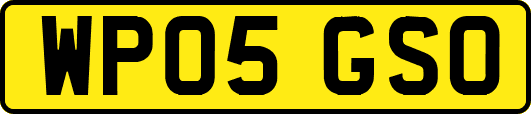 WP05GSO