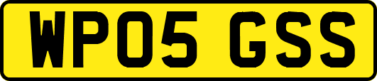 WP05GSS