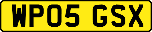 WP05GSX
