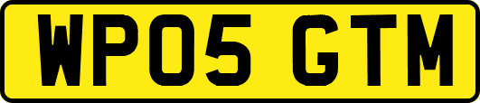 WP05GTM