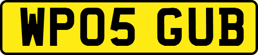 WP05GUB