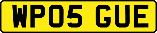 WP05GUE